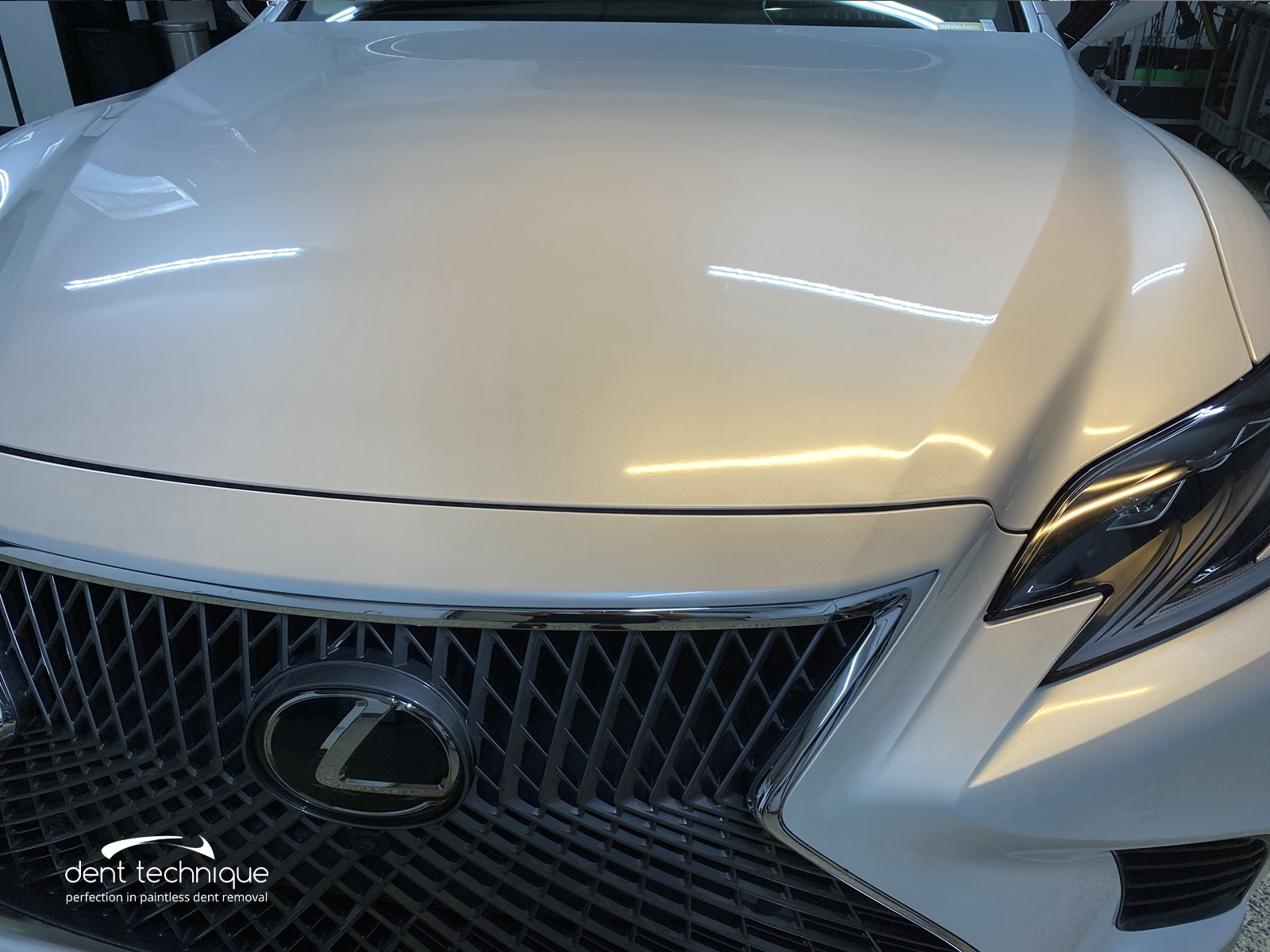 Paintless Dent Repair Hood Repair Lexus LS